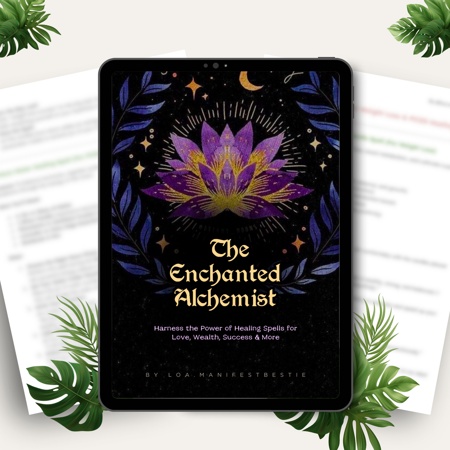 The Enchanted Alchemist Ebook